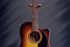 Acoustic Guitars