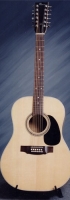 MODEL: D12 12- string