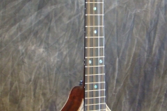 Irish Bouzouki