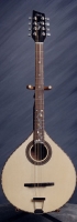 MODEL: Irish bouzouki