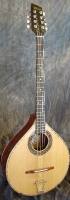 Model: Irish Bouzouki