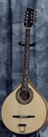 MODEL: Irish bouzouki