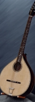 MODEL: Irish bouzouki