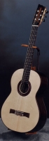 MODEL: Classical Recitalist