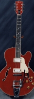 MODEL: Tomcat single cutaway hollowbody