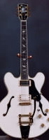 MODEL: Godfather double cutaway hollowbody