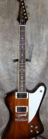MODEL: F bird