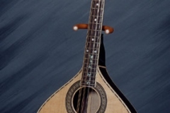 Mandolins