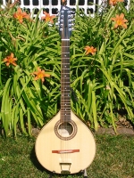 Pura CitternFront1