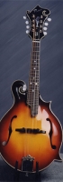 MODEL: F mandolin