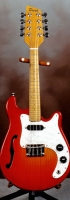MODEL: Electric Mandolin 8 String