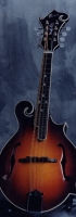 MODEL: F mandolin