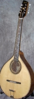MODEL: Octave Mandolin
