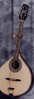 MODEL: Octave mandolin