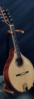 MODEL: A mando