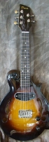 MODEL: Electric F mando