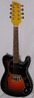 MODEL: electric mandolin