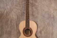Parlour Guitars